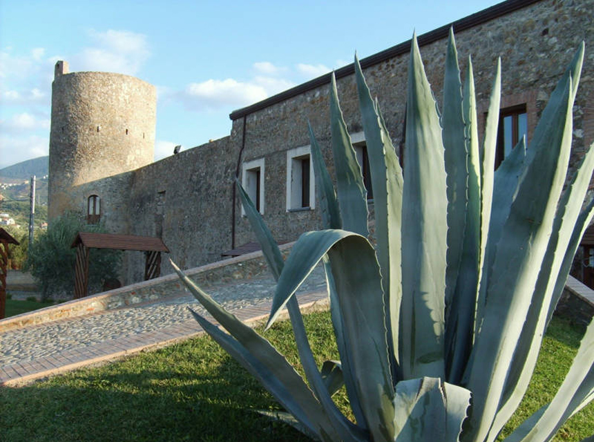 Museo del Cedro - Santa Maria