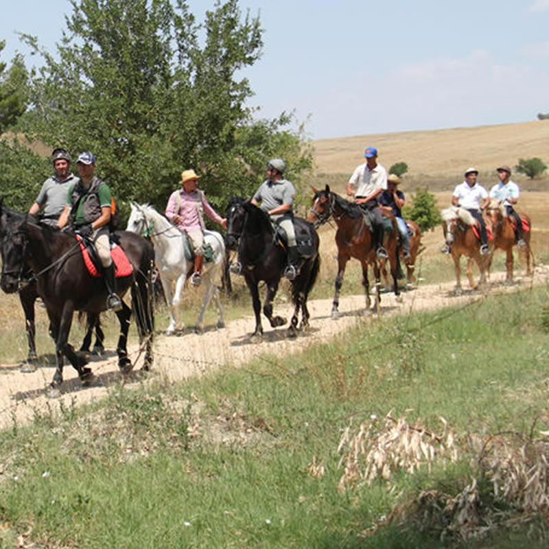 ESCURSIONI A CAVALLO