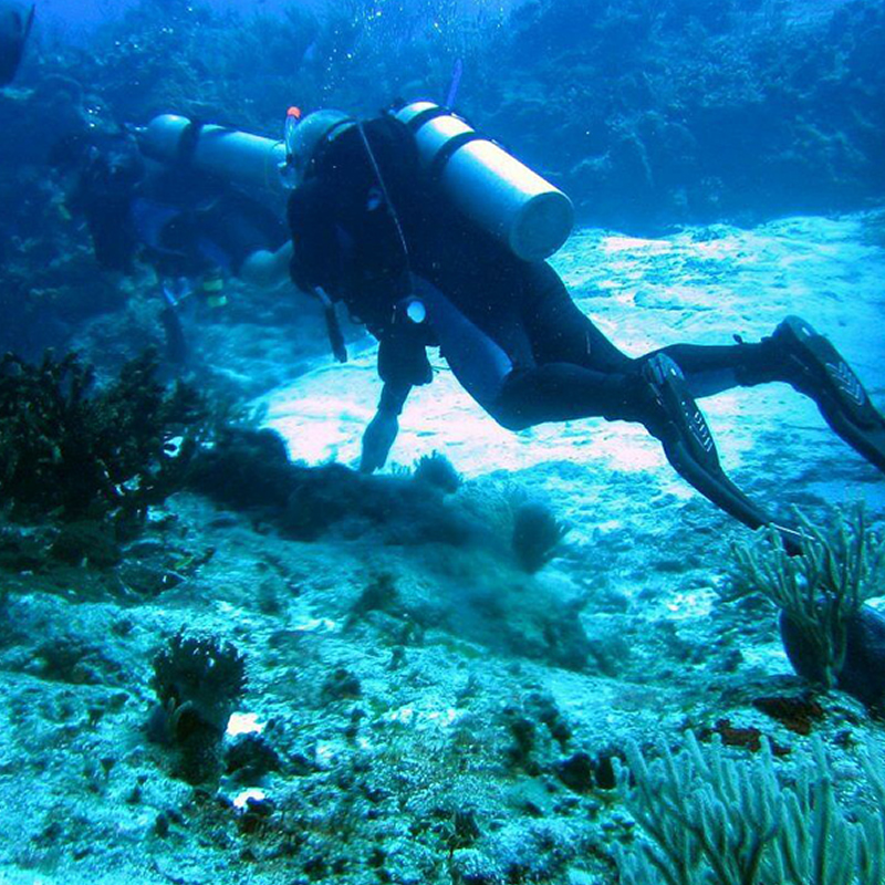 Diving