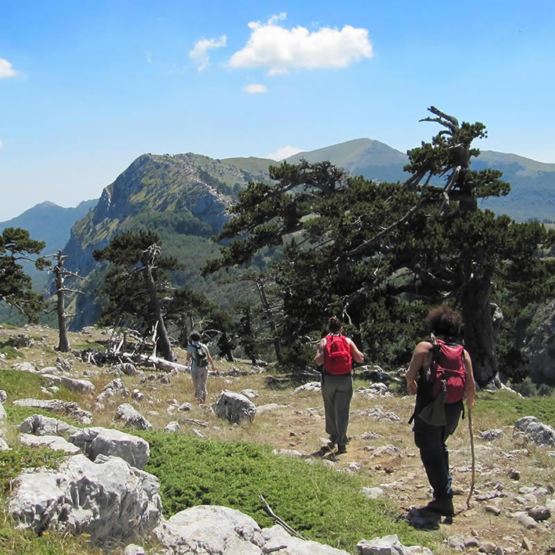 Trekking parco del Pollino
